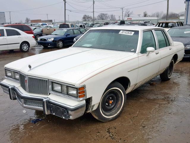 2G2AN69A3B1751061 - 1981 PONTIAC BONNEVILLE CREAM photo 2