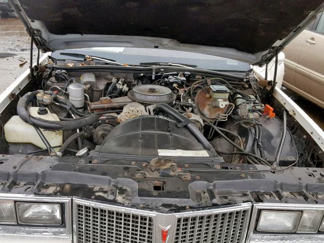 2G2AN69A3B1751061 - 1981 PONTIAC BONNEVILLE CREAM photo 7