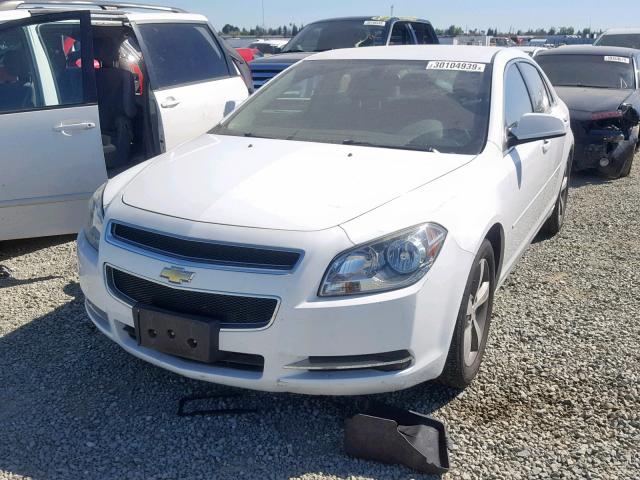1G1ZC5E13BF369151 - 2011 CHEVROLET MALIBU 1LT თეთრი ფოტო 2