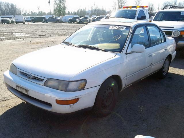 1NXBB02E4TZ463196 - 1996 TOYOTA COROLLA DX WHITE photo 2