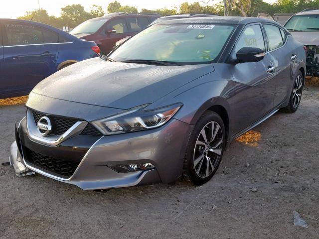 1N4AA6AP3GC383009 - 2016 NISSAN MAXIMA 3.5 GRAY photo 2