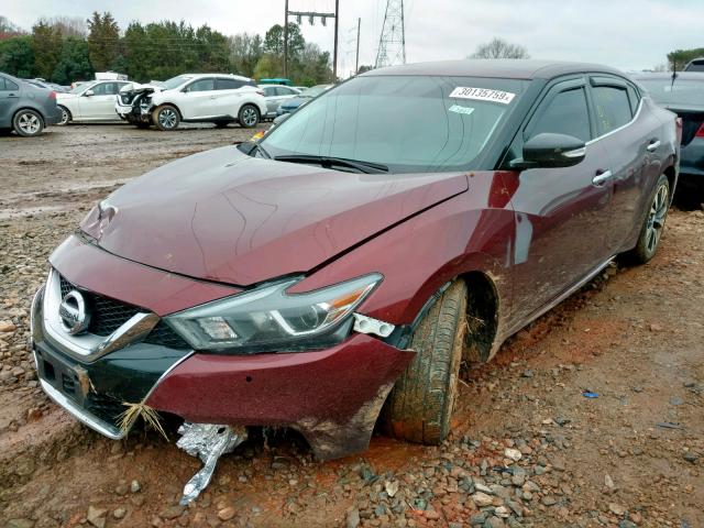 1N4AA6AP2GC448724 - 2016 NISSAN MAXIMA 3.5 RED photo 2