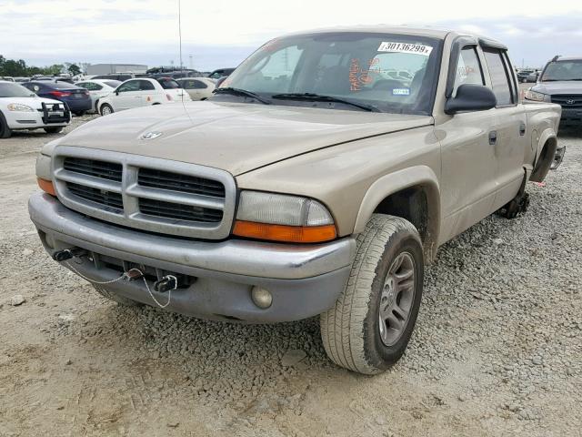 1D7HG48N73S267348 - 2003 DODGE DAKOTA QUA GOLD photo 2