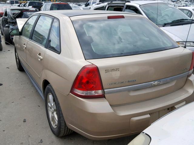1G1ZT62875F256654 - 2005 CHEVROLET MALIBU MAX 金色 照片 3