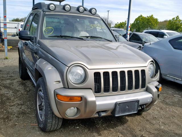 1J4GK38K34W120467 - 2004 JEEP LIBERTY RE GOLD photo 1