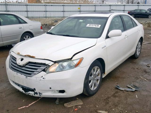 4T1BB46K28U031396 - 2008 TOYOTA CAMRY HYBR WHITE photo 2