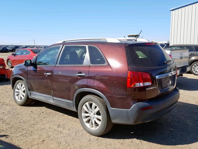 5XYKT4A25BG083140 - 2011 KIA SORENTO BA BURGUNDY photo 3