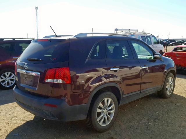 5XYKT4A25BG083140 - 2011 KIA SORENTO BA BURGUNDY photo 4