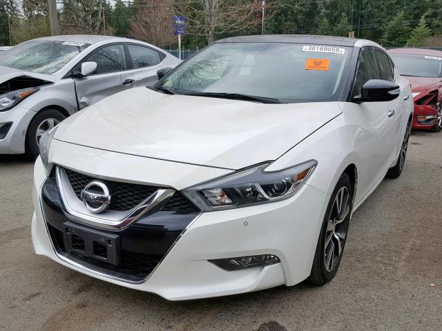 1N4AA6AP4GC416454 - 2016 NISSAN MAXIMA 3.5 WHITE photo 2