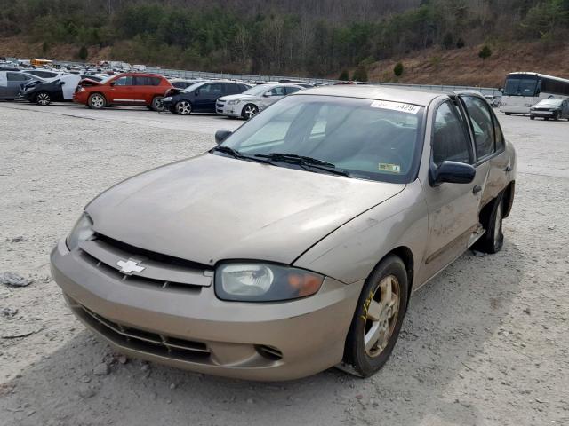 1G1JF52F647153411 - 2004 CHEVROLET CAVALIER L GOLD photo 2