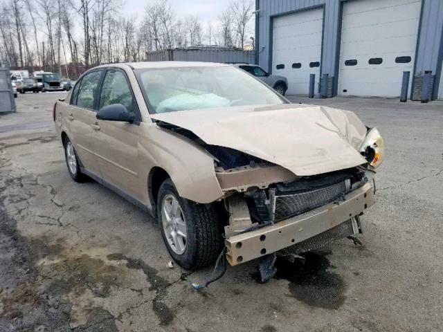 1G1ZT528X5F126460 - 2005 CHEVROLET MALIBU LS GOLD photo 1