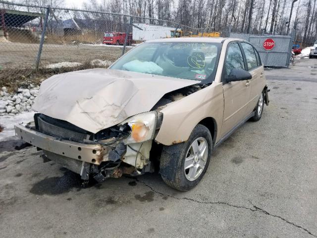 1G1ZT528X5F126460 - 2005 CHEVROLET MALIBU LS GOLD photo 2