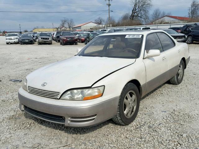 JT8GK13T1R0072082 - 1994 LEXUS ES 300 WHITE photo 2