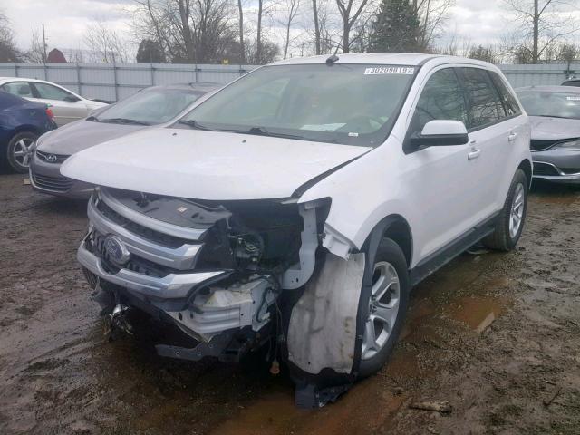 2FMDK3J95EBA59637 - 2014 FORD EDGE SEL WHITE photo 2