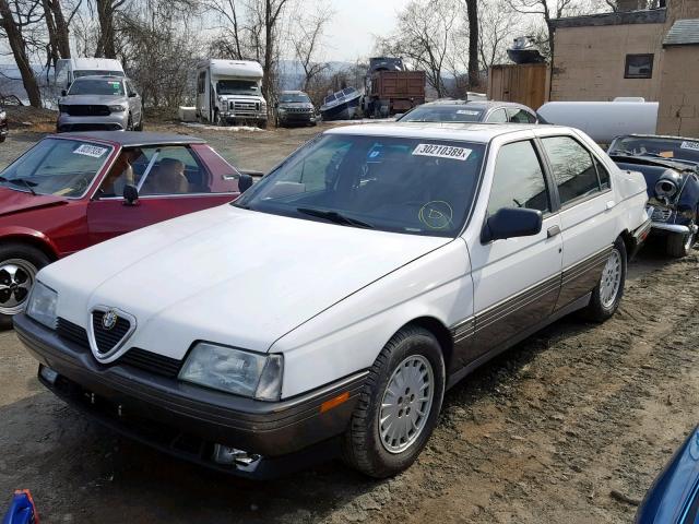 ZAREA33A2M6205031 - 1991 ALFA ROMEO 164 WHITE photo 2