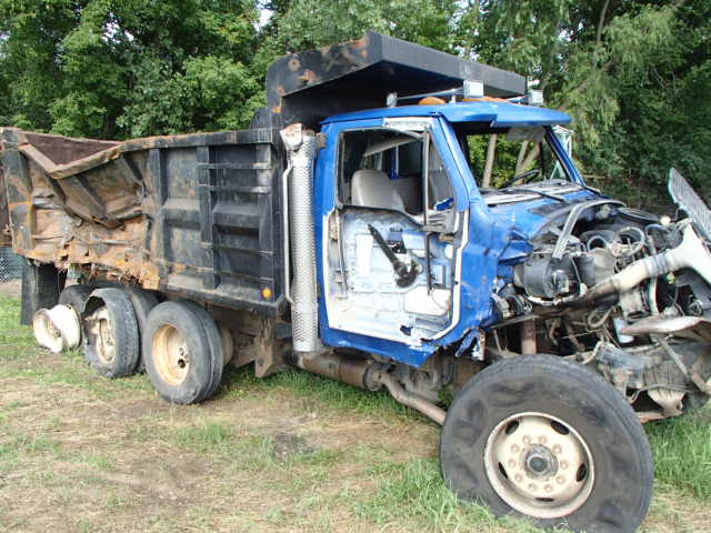 2FZXKWYB6XAB65766 - 1999 STERLING TRUCK LT9513 BLUE photo 10