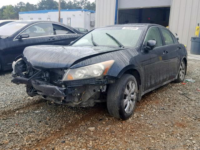 JHMCP26878C026105 - 2008 HONDA ACCORD EXL BLACK photo 2