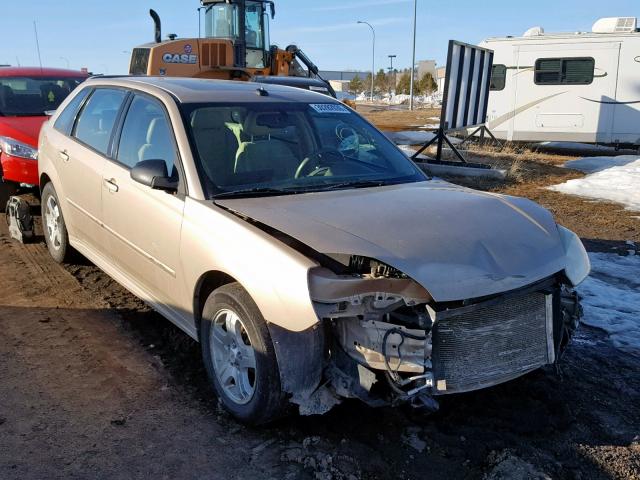1G1ZU64805F200369 - 2005 CHEVROLET MALIBU MAX GOLD photo 1