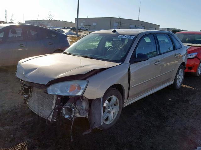 1G1ZU64805F200369 - 2005 CHEVROLET MALIBU MAX GOLD photo 2