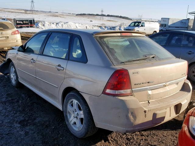 1G1ZU64805F200369 - 2005 CHEVROLET MALIBU MAX GOLD photo 3