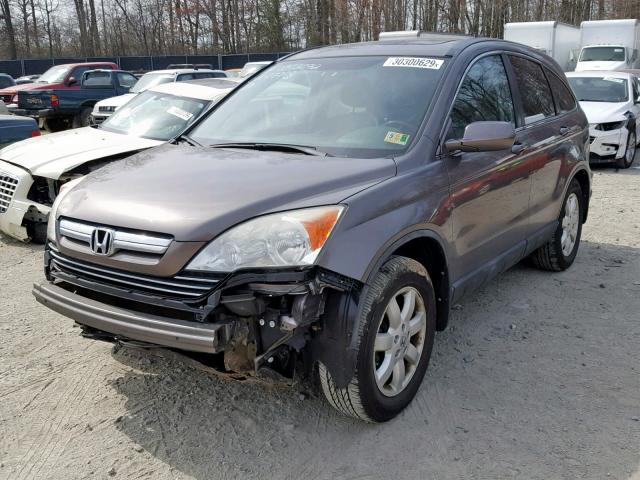 5J6RE38739L025461 - 2009 HONDA CR-V EXL BROWN photo 2