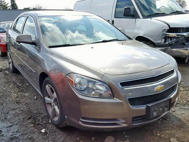 1G1ZC5E12BF342135 - 2011 CHEVROLET MALIBU 1LT 棕色 照片 1
