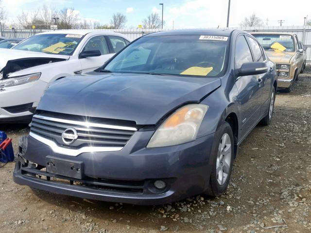 1N4CL21E08C277869 - 2008 NISSAN ALTIMA HYB BLUE photo 2