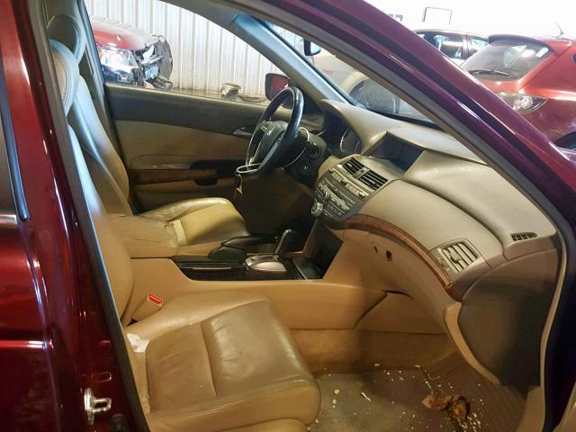 1HGCP26888A078373 - 2008 HONDA ACCORD EXL MAROON photo 5