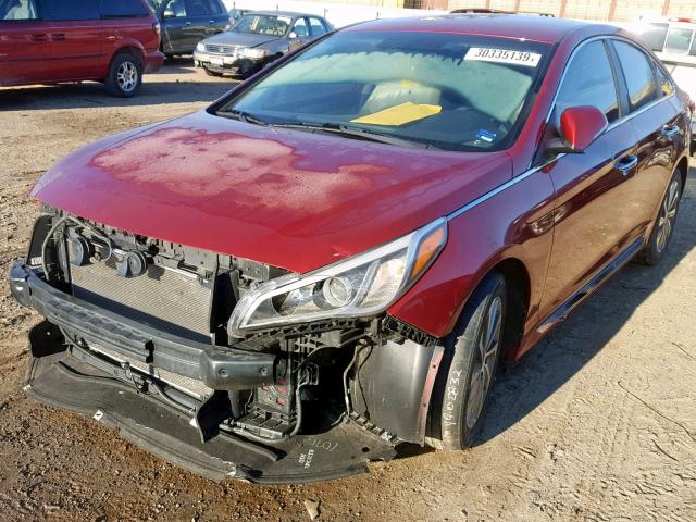 5NPE34AF3GH326346 - 2016 HYUNDAI SONATA SPO RED photo 2