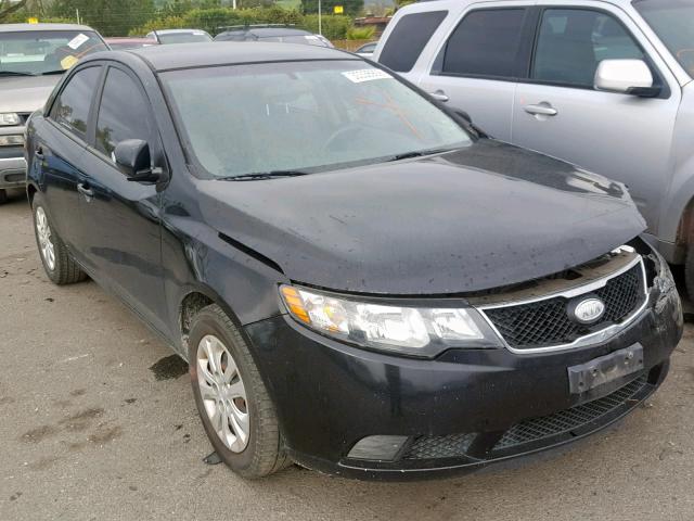 KNAFU4A20A5176277 - 2010 KIA FORTE EX BLACK photo 1