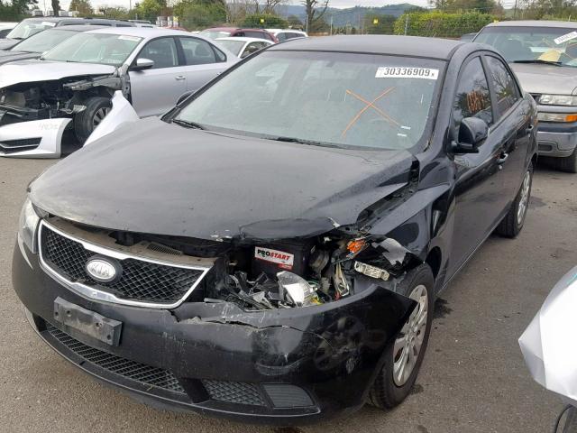 KNAFU4A20A5176277 - 2010 KIA FORTE EX BLACK photo 2