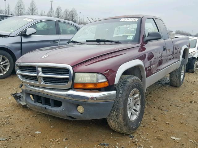 1B7GG22X21S298802 - 2001 DODGE DAKOTA MAROON photo 2