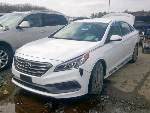 5NPE34AF6GH422374 - 2016 HYUNDAI SONATA SPO WHITE photo 2