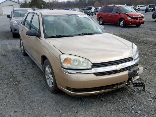 1G1ZT64874F192188 - 2004 CHEVROLET MALIBU MAX TAN photo 1