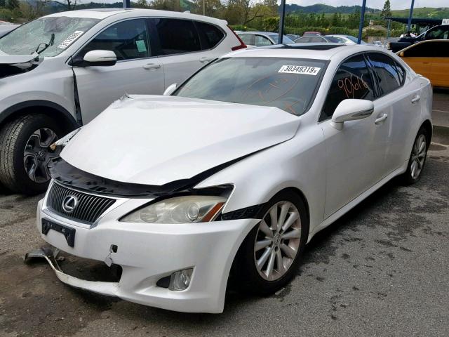 JTHBF5C23A2095241 - 2010 LEXUS IS 250 WHITE photo 2