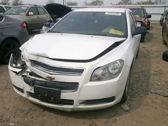 1G1ZB5E13BF224162 - 2011 CHEVROLET MALIBU LS WHITE photo 2