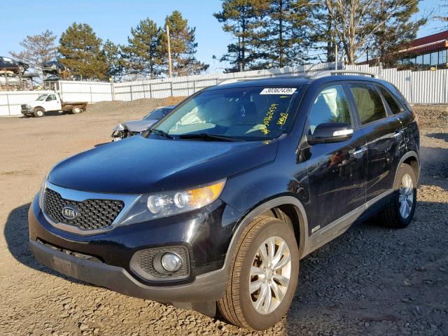 5XYKTDA26BG078058 - 2011 KIA SORENTO BA BLACK photo 2