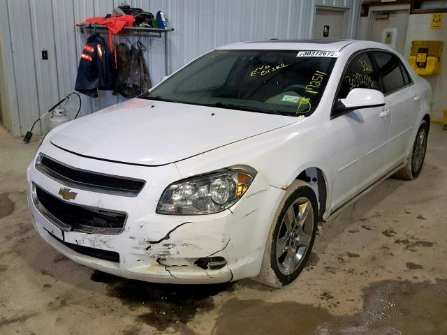 1G1ZH57B19F133194 - 2009 CHEVROLET MALIBU 1LT თეთრი ფოტო 2
