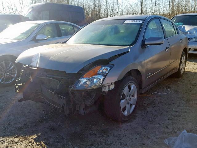 1N4CL21E27C230227 - 2007 NISSAN ALTIMA HYB TAN photo 2