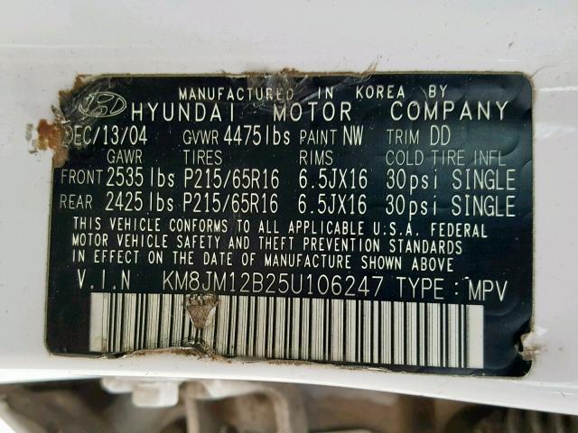 KM8JM12B25U106247 - 2005 HYUNDAI TUCSON GL WHITE photo 10