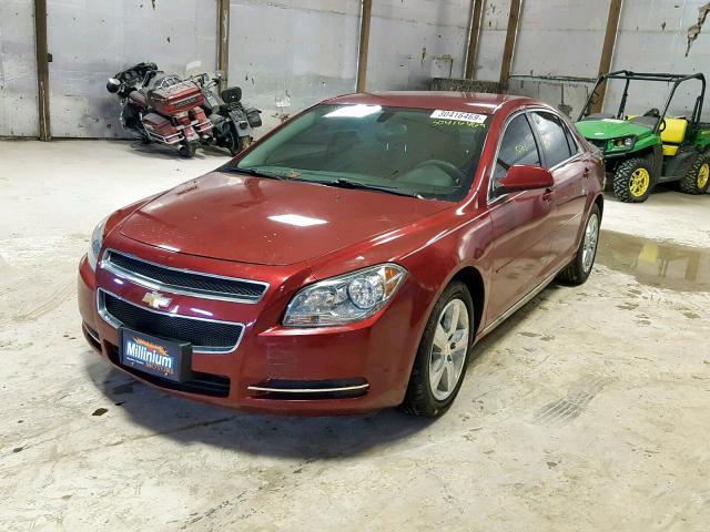 1G1ZC5E13BF230735 - 2011 CHEVROLET MALIBU 1LT 栗色 照片 2