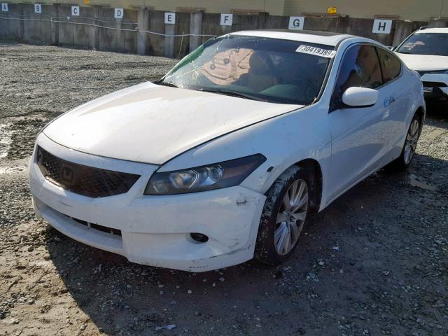 1HGCS22878A014815 - 2008 HONDA ACCORD EXL WHITE photo 2