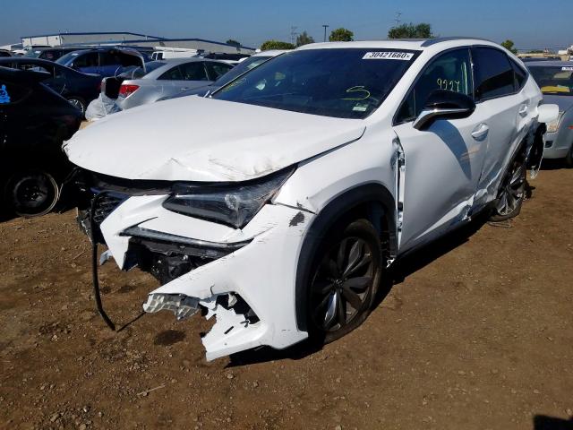 JTJYARBZXK2138777 - 2019 LEXUS NX 300 BASE  photo 2