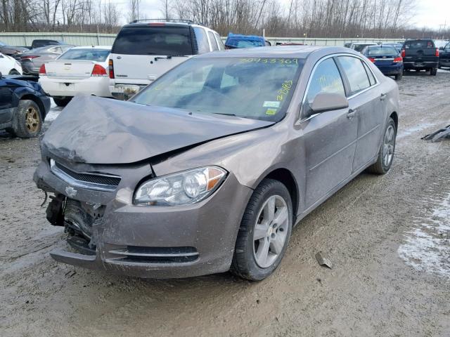 1G1ZC5E17BF359948 - 2011 CHEVROLET MALIBU 1LT 金色 照片 2