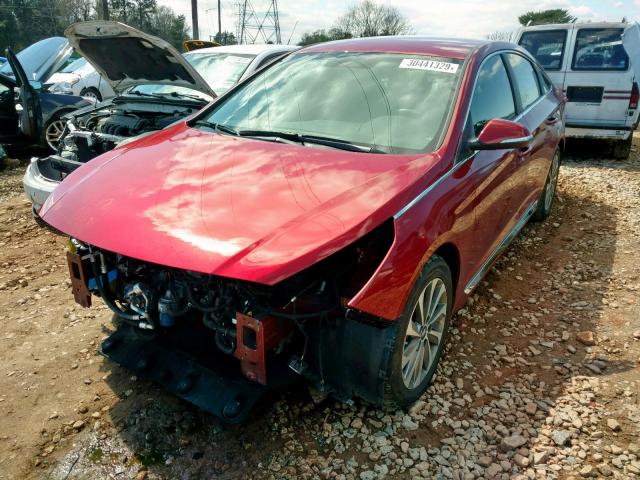 5NPE34AF2FH124449 - 2015 HYUNDAI SONATA SPO RED photo 2