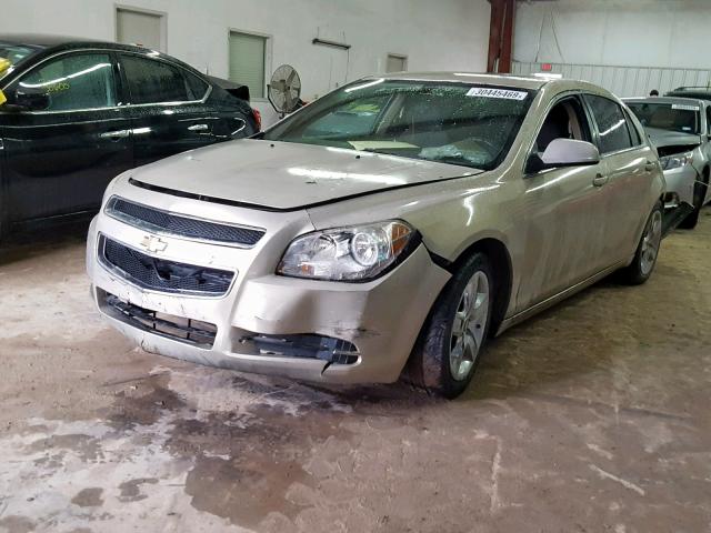1G1ZH57B19F205074 - 2009 CHEVROLET MALIBU 1LT 金色 照片 2