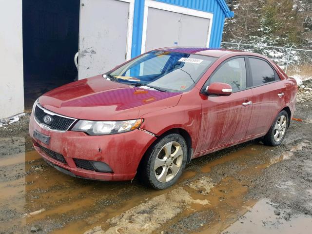 KNAFU4A24A5094911 - 2010 KIA FORTE EX RED photo 2