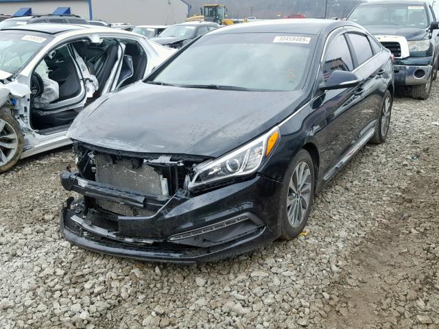 5NPE34AF9FH071488 - 2015 HYUNDAI SONATA SPO BLACK photo 2