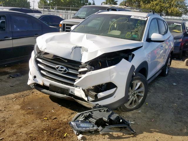 KM8J33A45HU555184 - 2017 HYUNDAI TUCSON LIM WHITE photo 2