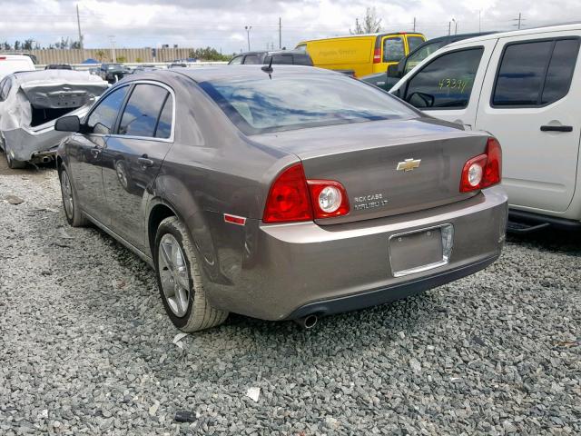 1G1ZD5EB3AF294259 - 2010 CHEVROLET MALIBU 2LT BROWN photo 3